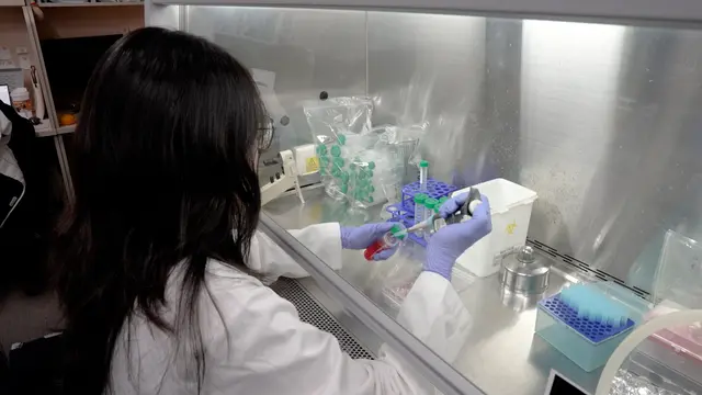Optimized Quantitative Assessment of Enhancer RNA Stability in Mouse Embryonic Stem Cells