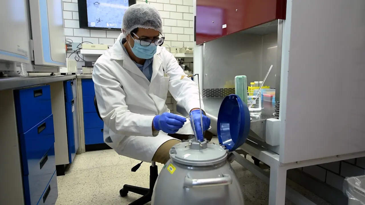 A Simple Microaspiration Technique for Isolating Somatic Cells from Cryopreserved Equine Semen as Nuclear Donors for Cloning