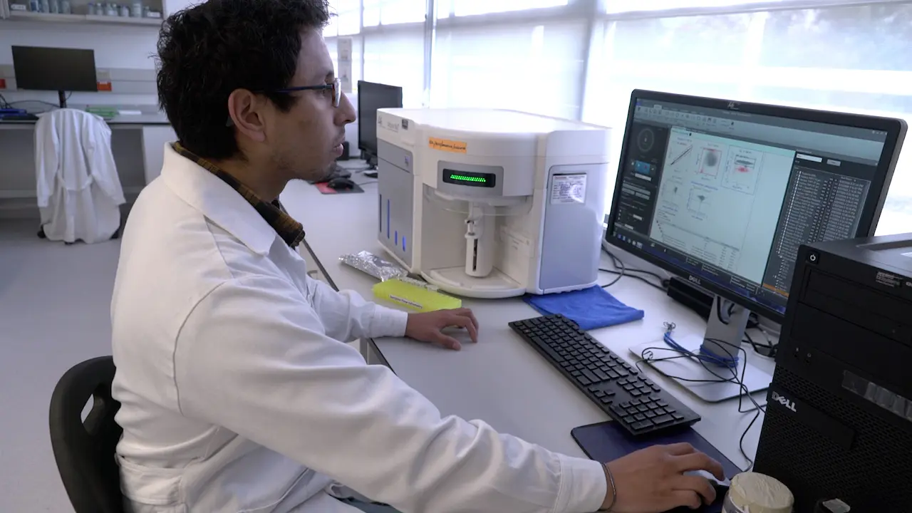 Rapid Magnetic-microbead Method for Efficient Purification of Low-density Neutrophils
