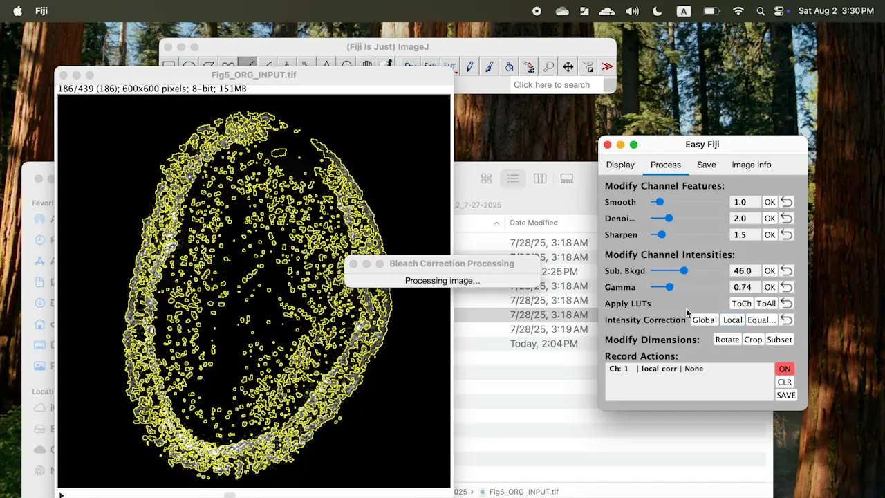 EasyFiji: A Graphical Interface for User-Friendly Fluorescence Image Processing in Fiji