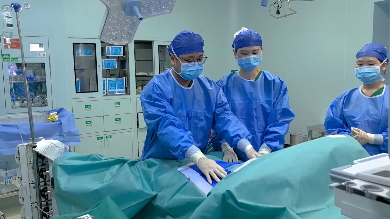 "Sun's Seven-Step Technique" for Endoscopic <em>En-Bloc</em> Resection of Thyroid Cancer <em>via</em> the Chest-Breast Approach
