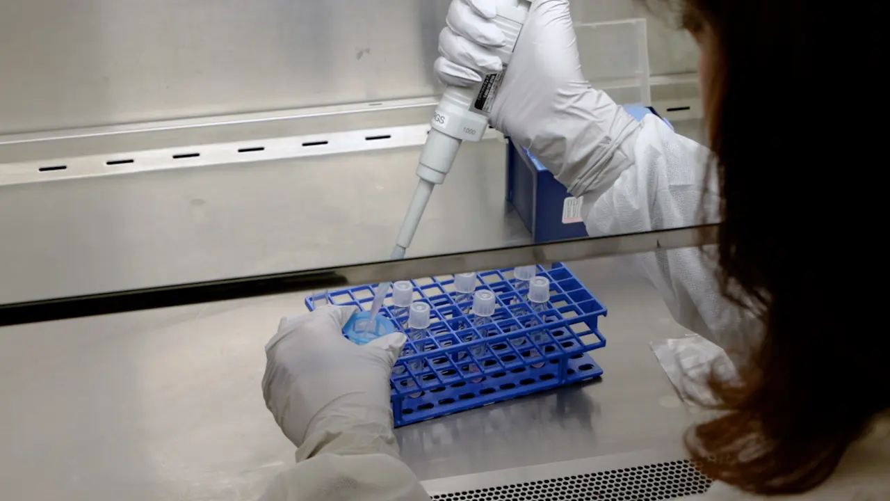 Purification of HLA-G<sup>+</sup> Extravillous Trophoblasts from Human Term Placental Tissues for Phenotyping and Functional Analysis