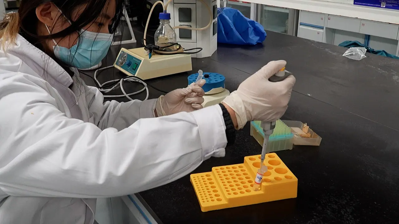 Preparation Of Neovascular Tissues from Human Glioma Tissues for Quantitative Proteomics Analysis of Tumor Angiogenesis