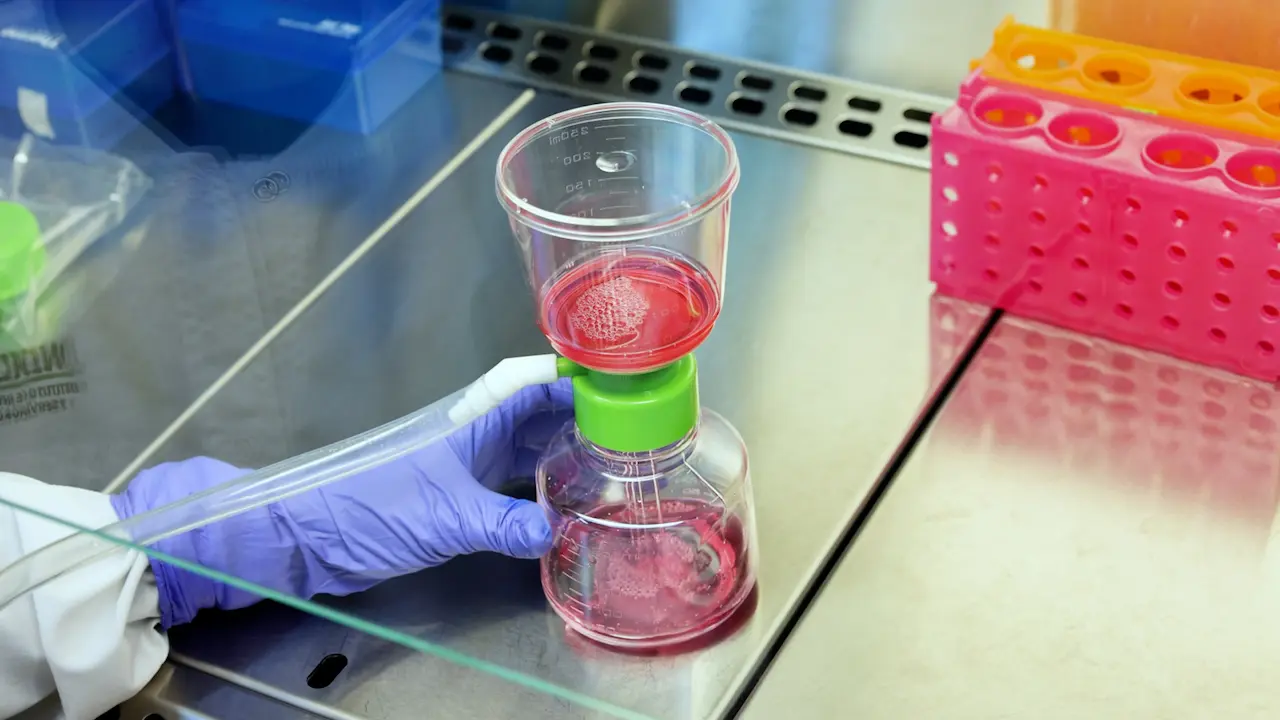 Procedures for the Identification of SARS-CoV-2 Entry Inhibitors as Potential Antivirals using MLV-Based Pseudoviruses