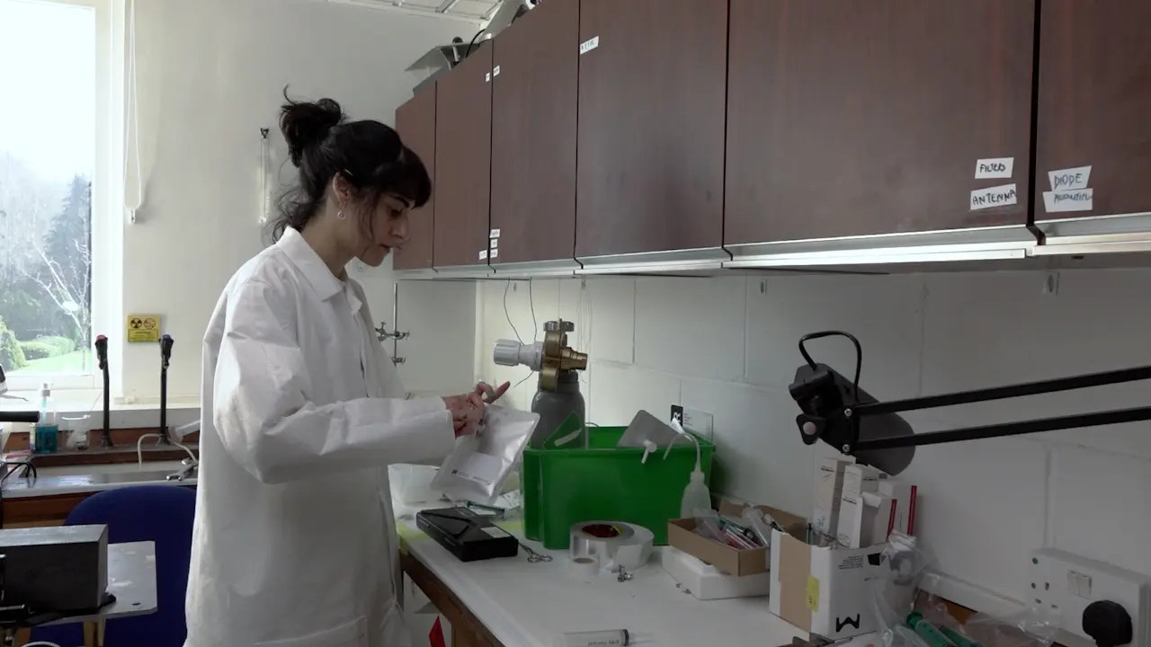 Validation of Hyperbaric Pressure System with Xenon Anesthesia for <em>Drosophila melanogaster</em>