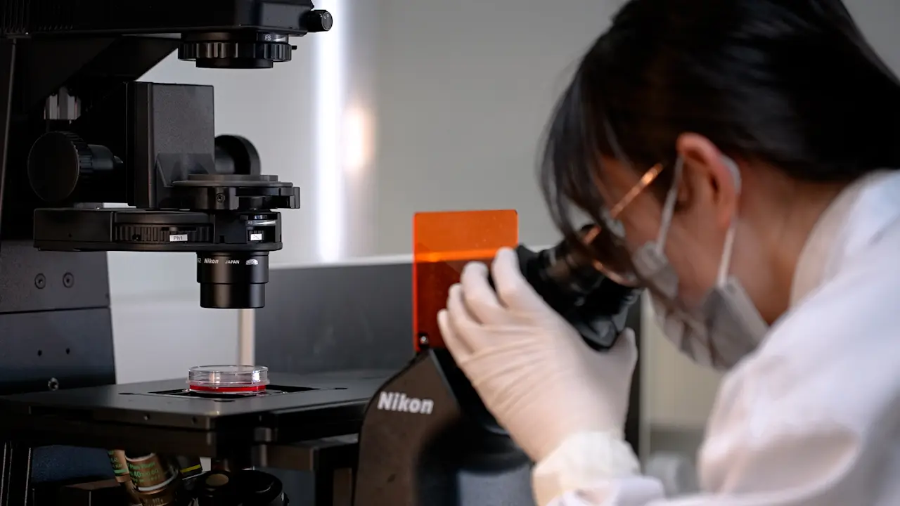 Dot Blot Assay for Detecting Global N<sup>6</sup>-Methyladenosine RNA Modification Levels