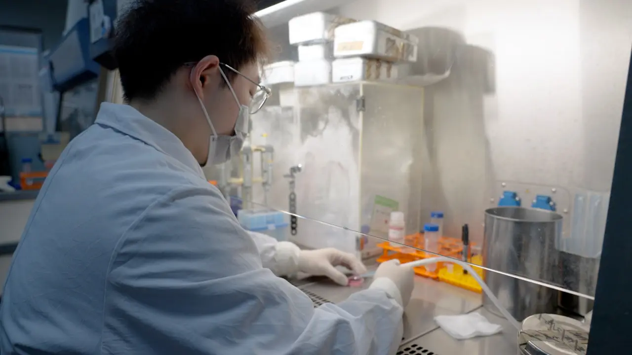 MeRIP-qPCR Assay for Detecting m<sup>6</sup>A Modification Levels of Specific RNA in Osteosarcoma Cells