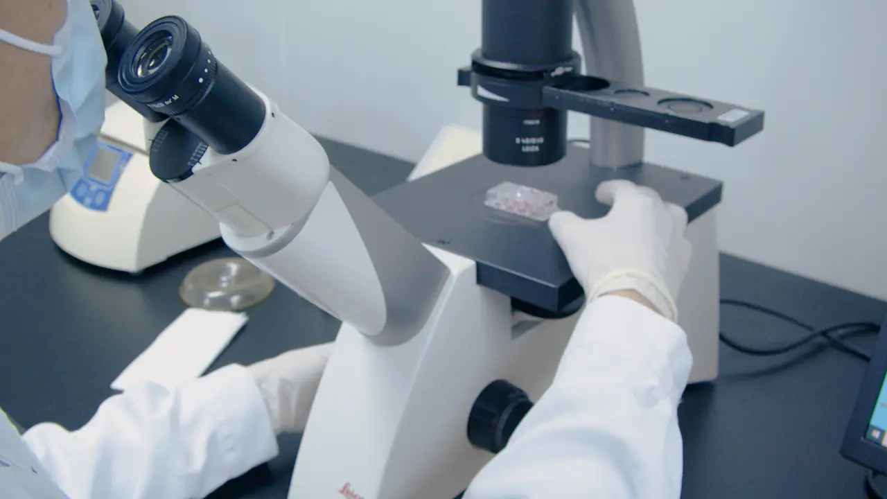 Standardized Method to Detect Tunneling Nanotubes in Human Skin Cells for Tissue Engineering Applications