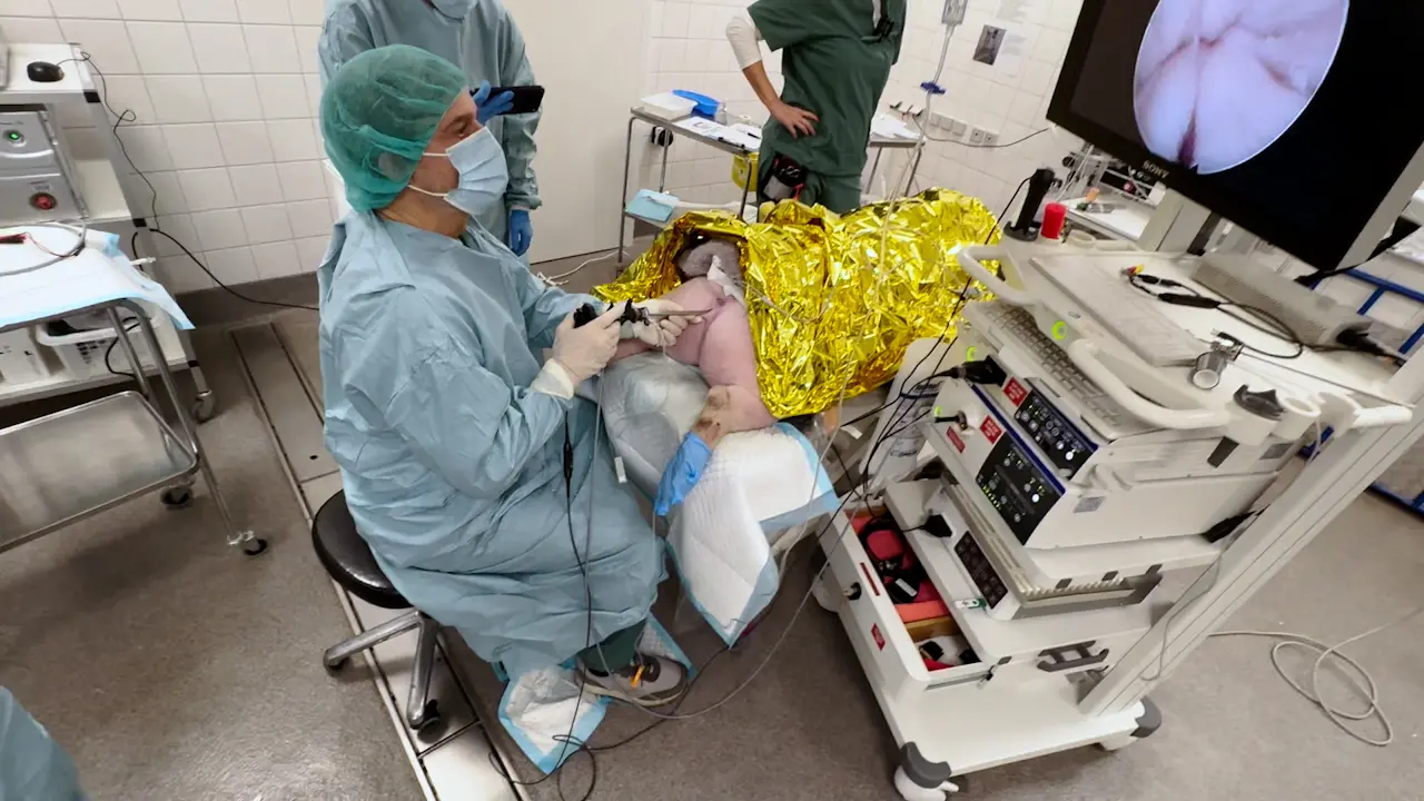 Integration of Electroporation in Urological Practice: Design and Evaluation of a New Transurethral Electrode