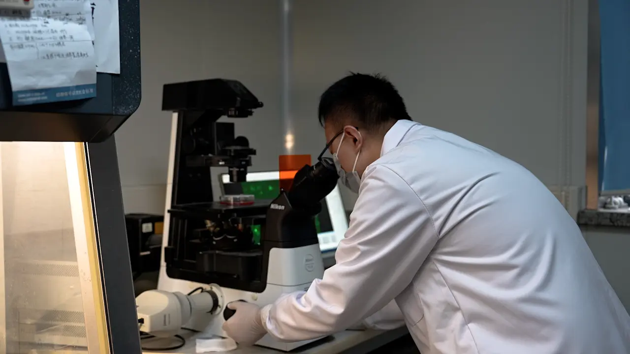 Colony Formation Assay Detecting the Proliferative Capacity of LncRNA-knockdown Osteosarcoma Cells