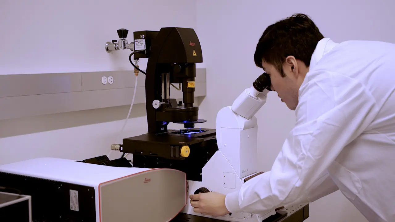 Immunostaining and Dye Penetration Experiments to Define Core Pleated Septate Junction Proteins in <em>Drosophila</em> Embryonic Epithelia