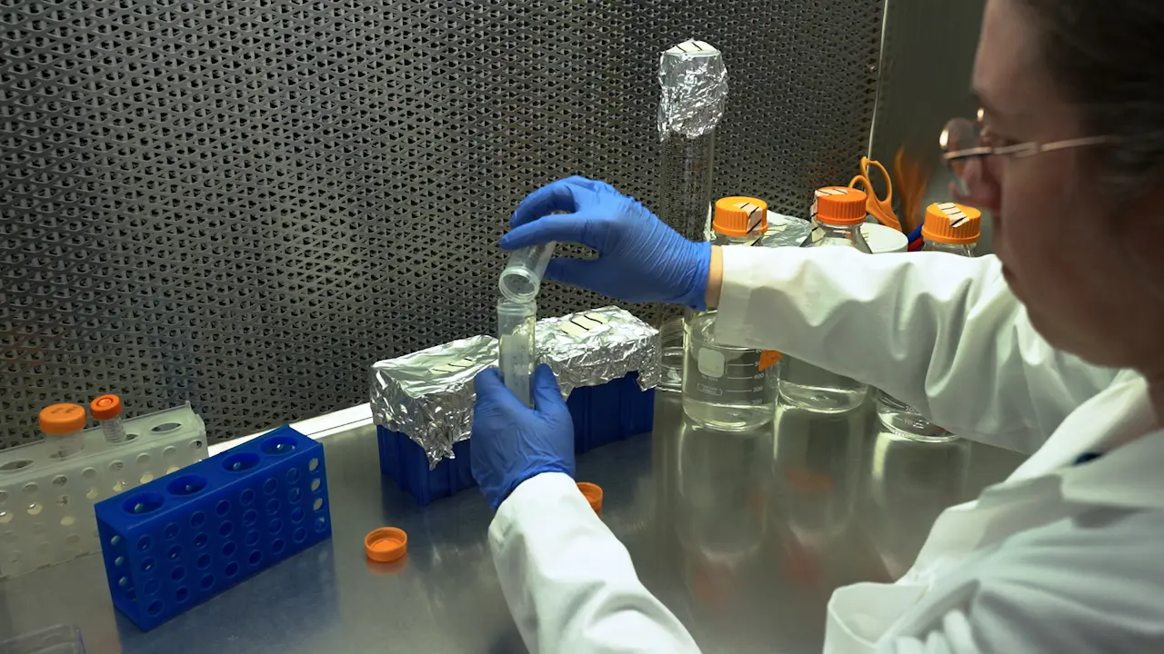 Building and Operating a Low-Cost Elevated Carbon Dioxide Growth Chamber to Evaluate Microgreen Physiology under Spaceflight-Relevant CO<sub>2</sub> Levels