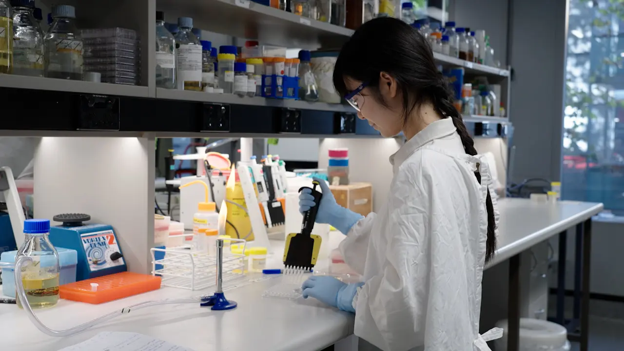 Production and Testing of Antimicrobial Peptides and Their Mimics