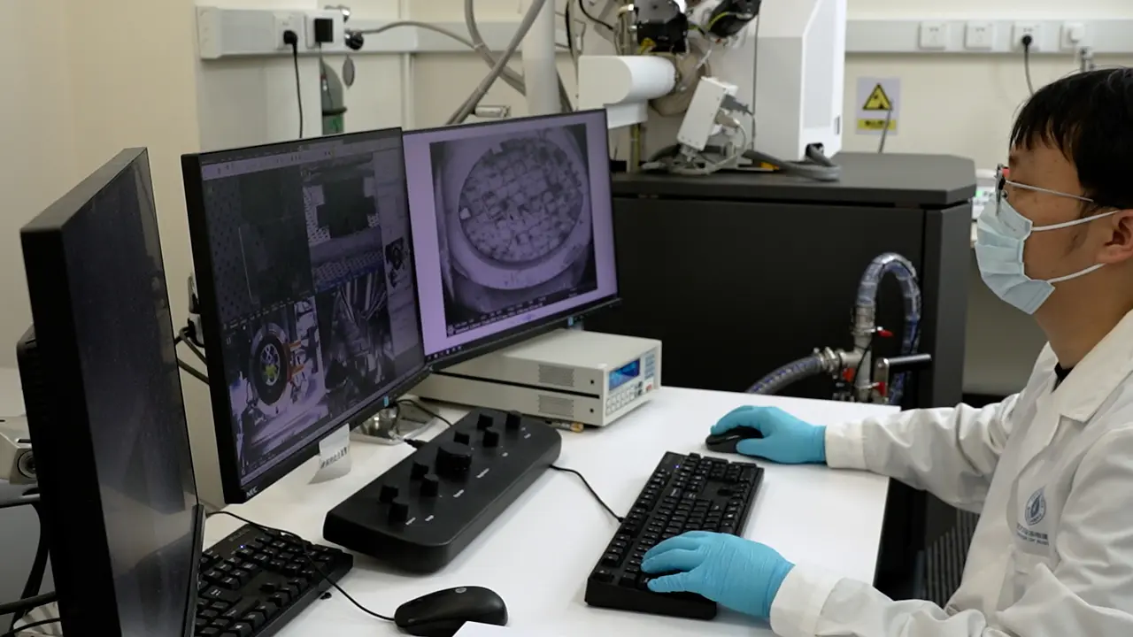 Cryo-Electron Tomography Workflow for Thick Tissues Demonstrated in Mouse Hippocampus