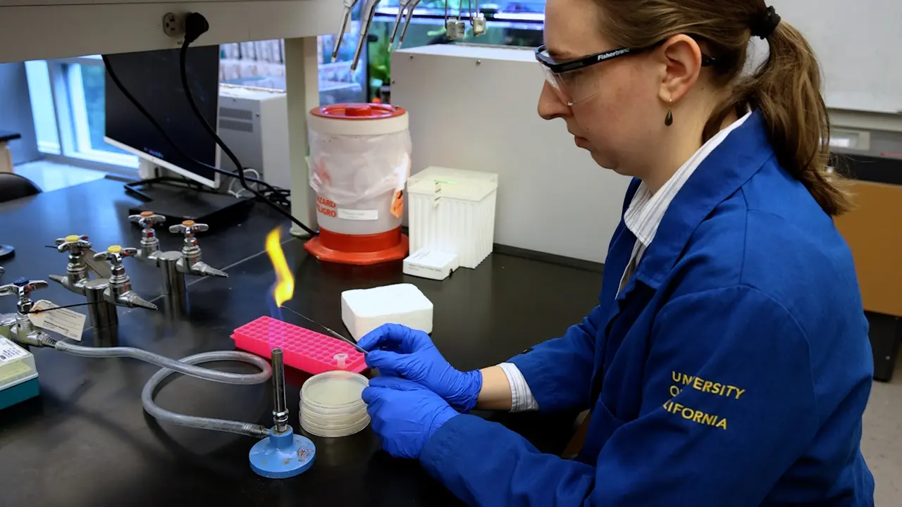 Long-Read Plasmid Sequencing and Assembly Using Nanopore Sequencing-Based Workflows