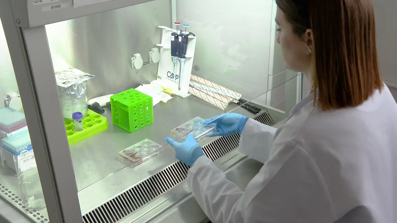 Isolation of Skeletal Muscle Satellite Cells for <em>In Vitro</em> Myogenesis Studies