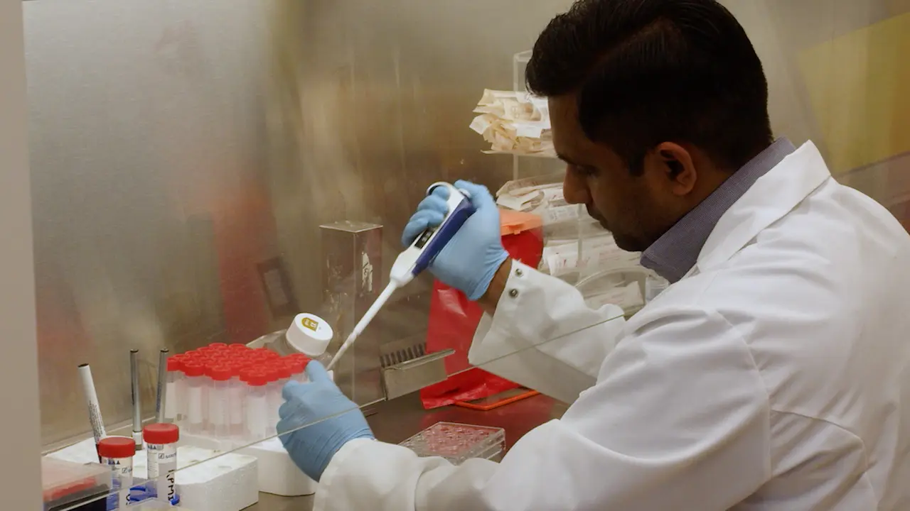Measurement of Nitric Oxide Production in Mouse Tracheal Epithelial Cell Cultures Differentiated at the Air Liquid Interface