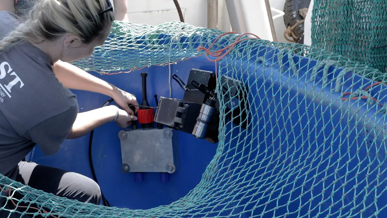 Optical Trawl Surveys of Groundfish: A Video Trawl Survey of Western Gulf of Maine Atlantic Cod (<em>Gadus morhua</em>)