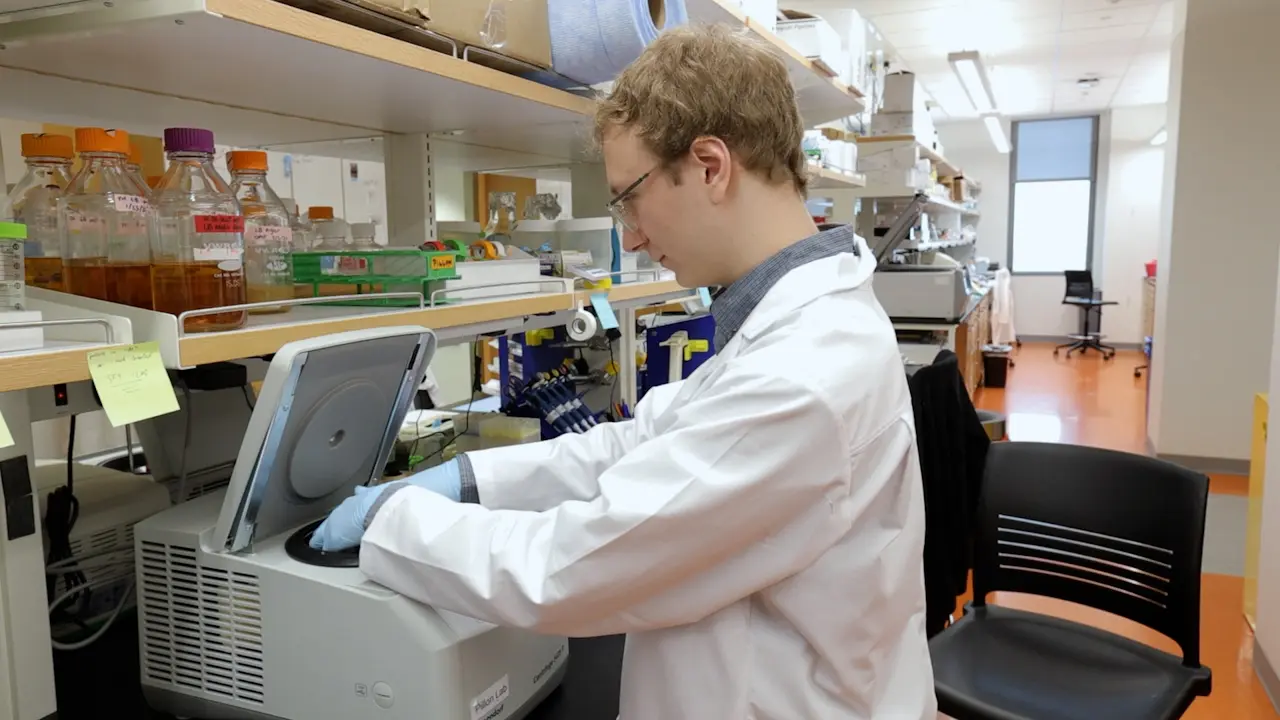 Rapid Production of Recombinant Human SLFN14 Ribonuclease and Stoichiometric Analysis by Mass Photometry