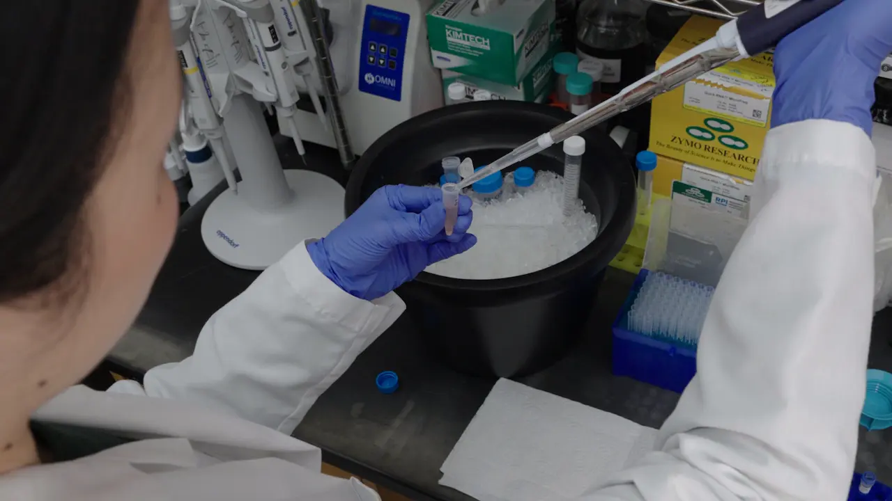 Protocol for Single-Cell Dissociation, RNA Sequencing, and Isolation of Myoepithelial Cells and Fibroblasts from the Aged Lacrimal and Salivary Glands
