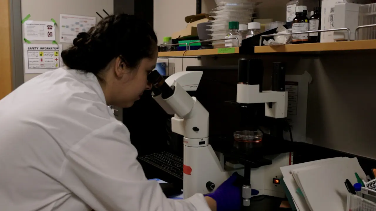 Reprogramming Induced Pluripotent Stem Cell Lines from Frozen Buffy Coat Samples