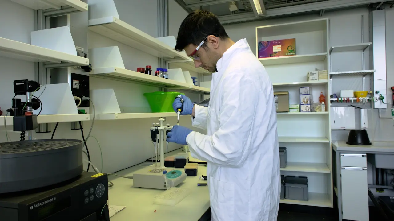 Using Solution NMR to Characterize Biomolecular Condensates Under Biphasic Conditions