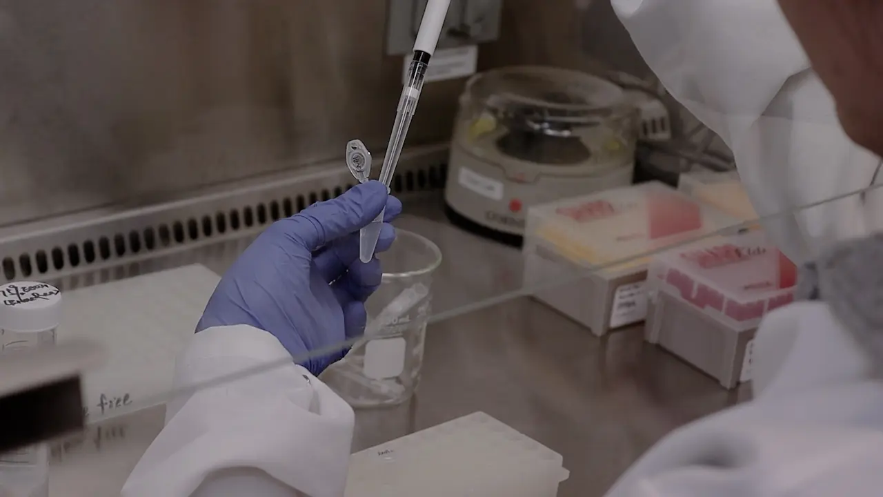 Metabolic Labeling of the Nascent Transcriptome in <em>Xenopus</em> Early Embryogenesis