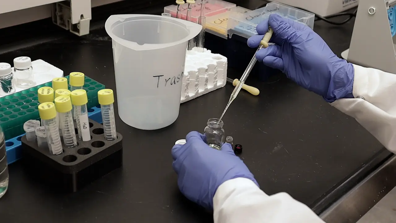 Visualizing Zygotic Genome Activation In Single Cells of Early Embryos
