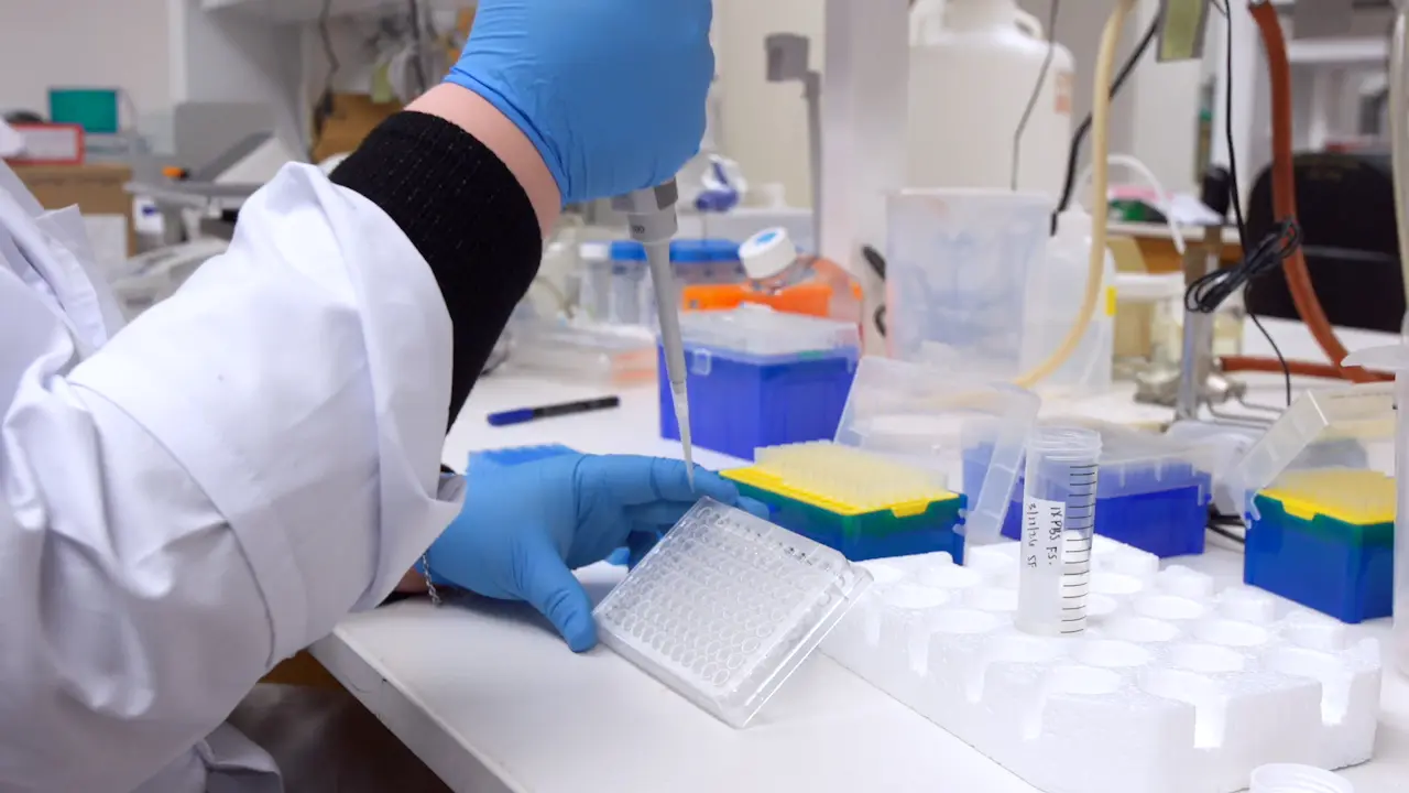 Amikacin Protection Assay for Quantification and Visualization of <em>Escherichia coli</em> Cell Invasion