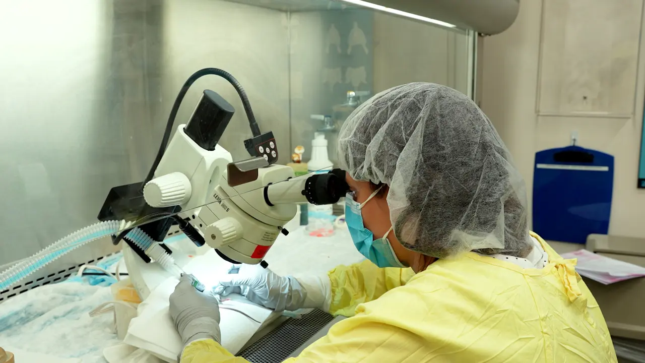 Parallel <em>In Vivo</em> Screening of Gene Knockout and Activation in the Mouse Mammary Gland