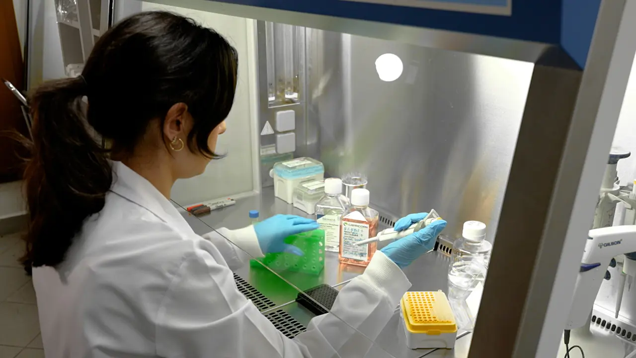 Epigenome-Wide CRISPR-Cas9-Based Knockout Screens on Chemoresistant Cells