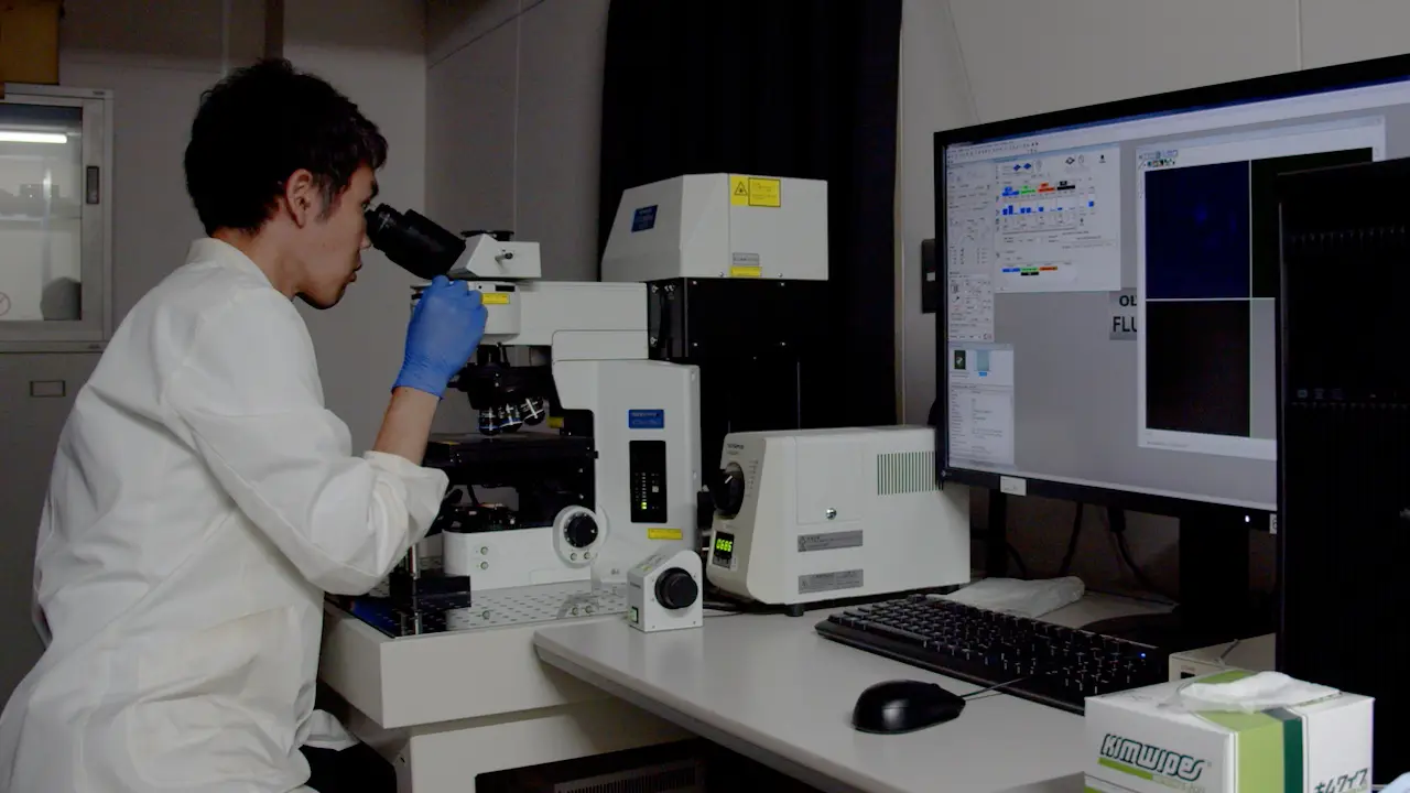 A Fluorescence-Based Method To Visualize Lipid Droplet And Organelle Dynamics During Mitosis in Hepatoma Cells