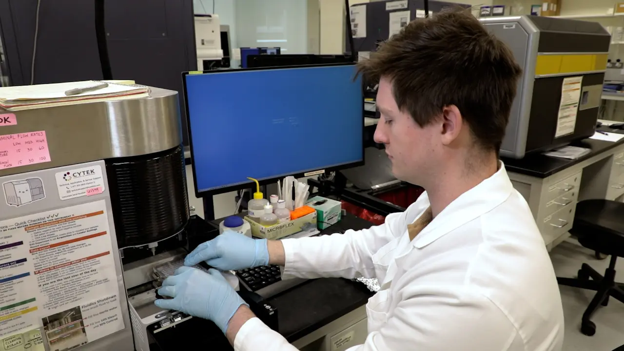 Quantifying NK-Cell Cytotoxicity Potentiated by Chimeric Antigen Receptors and Therapeutic Antibodies Using Live-Cell Imaging and Flow Cytometry