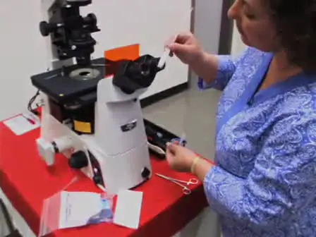 Proper Care and Cleaning of the Microscope