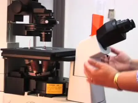 Major Components of the Light Microscope