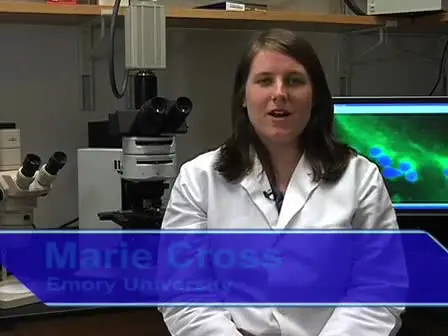 Obtaining Eggs from Xenopus laevis Females