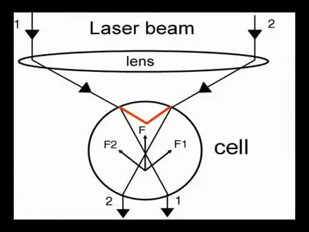 Using Laser Tweezers For Manipulating Isolated Neurons In Vitro