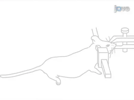 A Technique for Serial Collection of Cerebrospinal Fluid from the Cisterna Magna in Mouse 