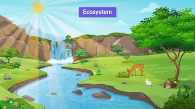 Abiotic and Biotic Factors