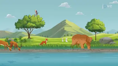 Biosphere