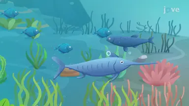 Biome