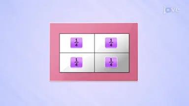 Introduction to Fraction Division: Visual Models