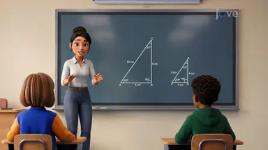 Understanding Similar Triangles