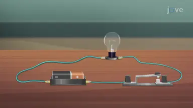 Electrical Circuit