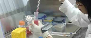 Tecniche di laboratorio generali