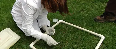 Environmental Science
