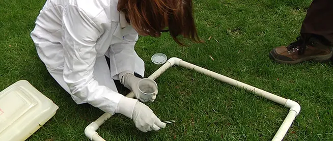 Environmental Sciences
