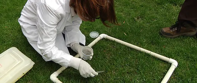 Environmental Sciences