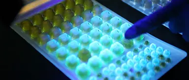 Environmental Microbiology