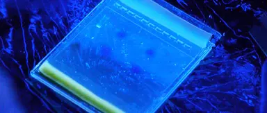 Metodi di base in biologia cellulare e molecolare
